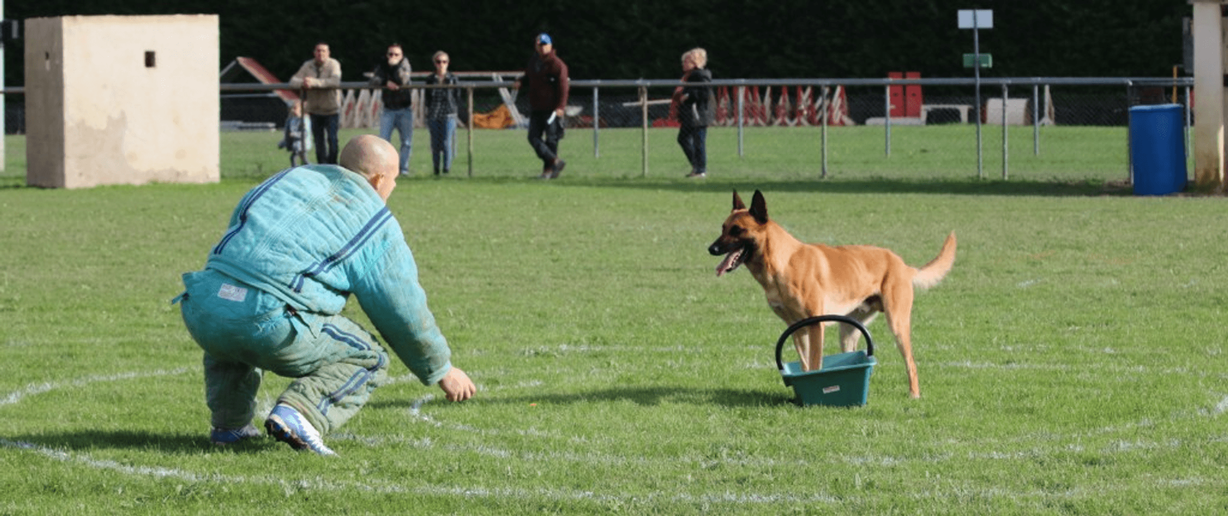 Séance de dressage canin — Lady Noire