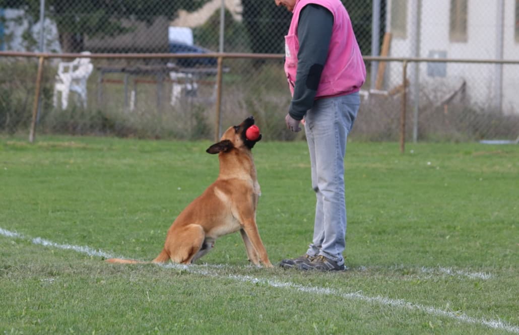IMG 2668 e1544781466552 1030x665