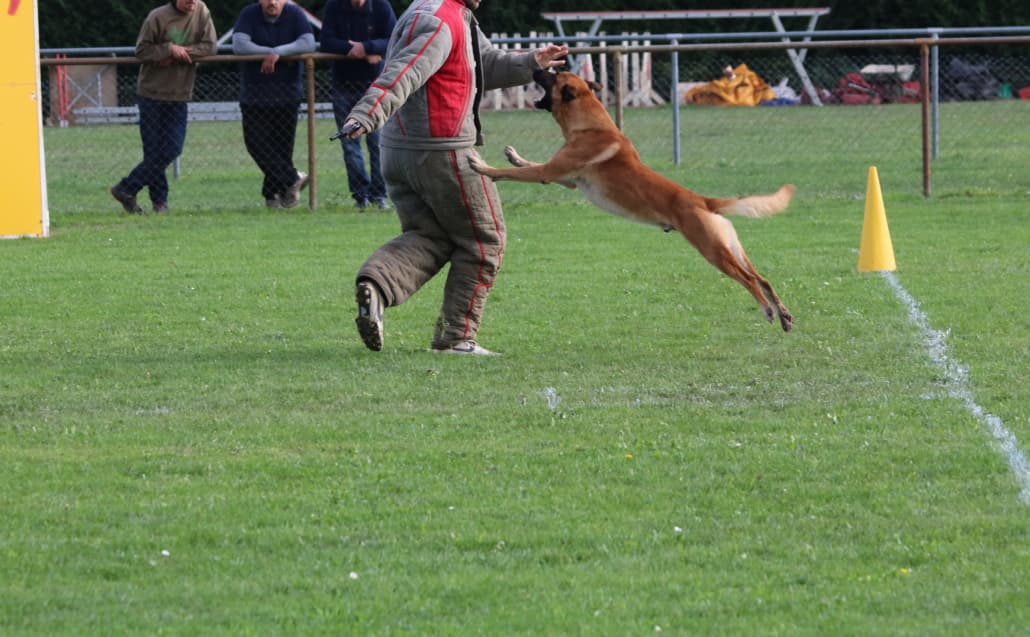 IMG 2758 e1544781403463 1030x637