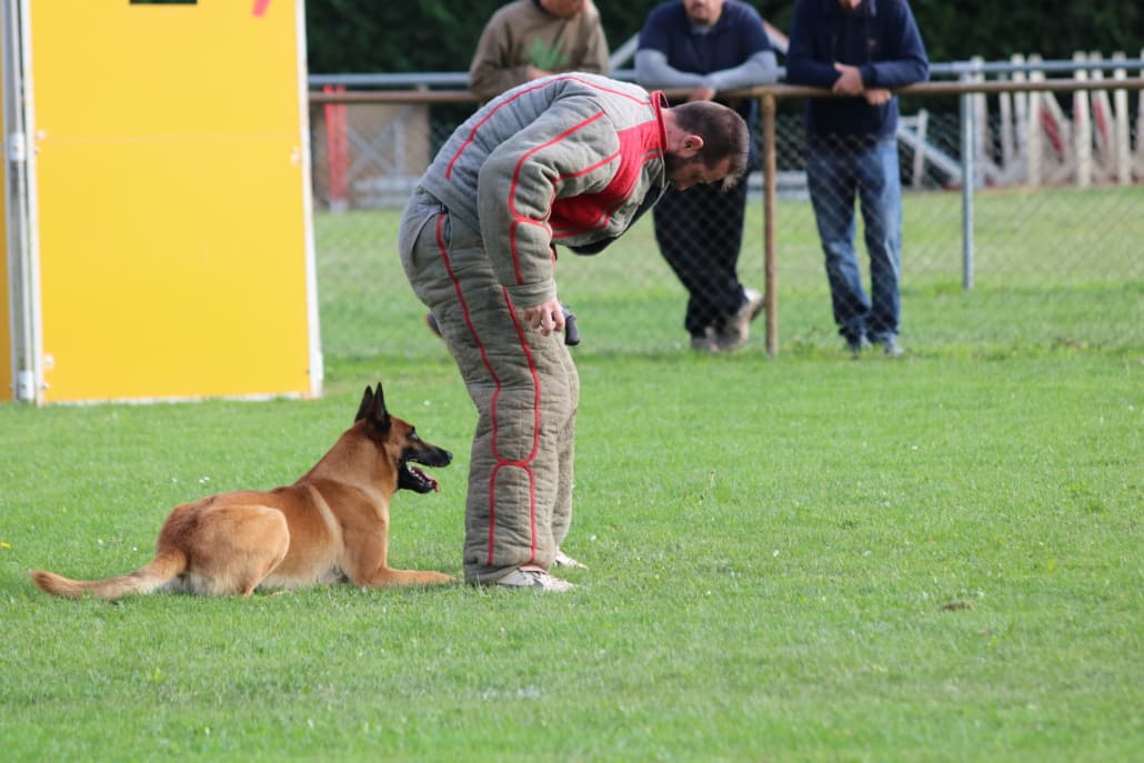 IMG 2773 1030x687
