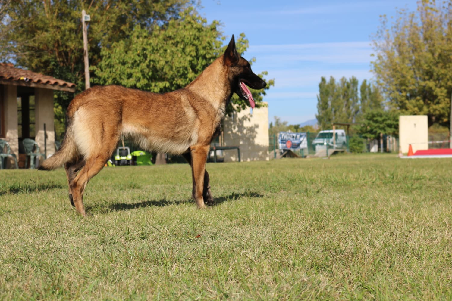 lola copie 2 1500x1000