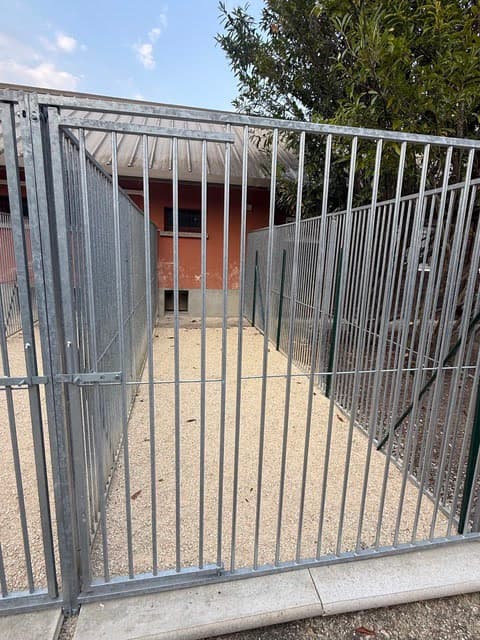 Courette extérieure individuelle — pension canine Lady Noire à Foëcy