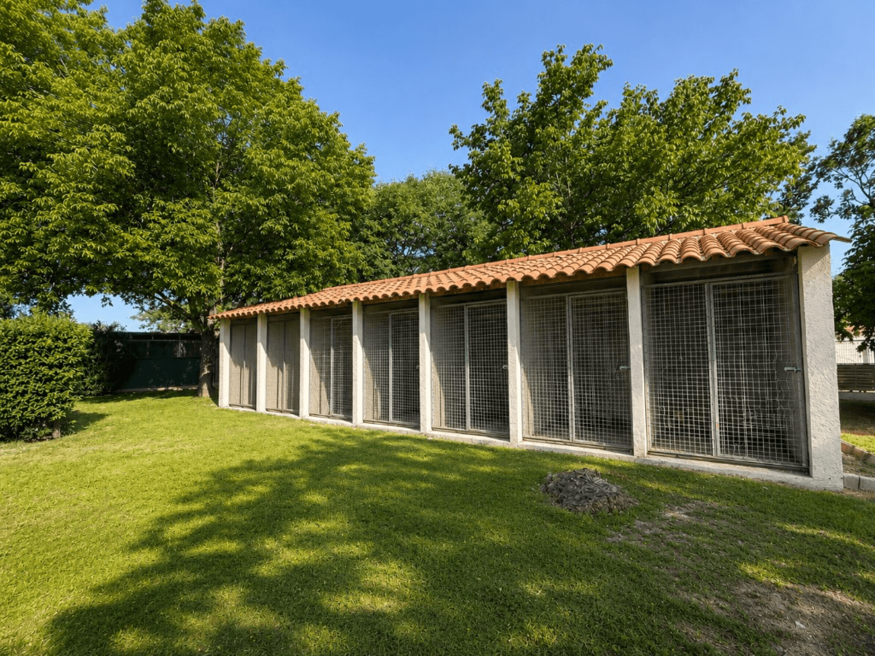 Boxes extérieurs de la pension féline Lady Noire à Pernes-les-Fontaines